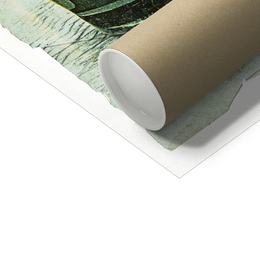 LIFE Fine Art Print