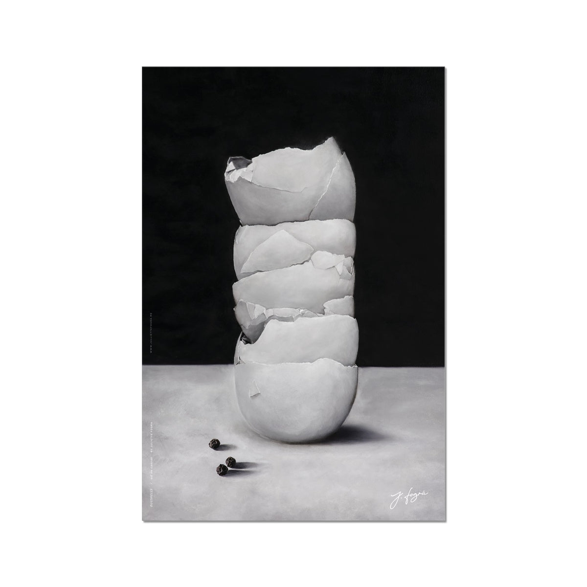 Egg Shells Fine Art Print